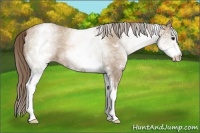 Horse Color:White Spotted Blue Roan Pearl 