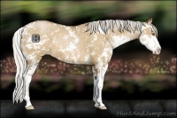 Horse Color:Silver Grullo Pearl Sabino