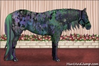 Horse Color:ERROR: UNKNOWN ANOMALY and ERROR: UNKNOWN ANOMALY