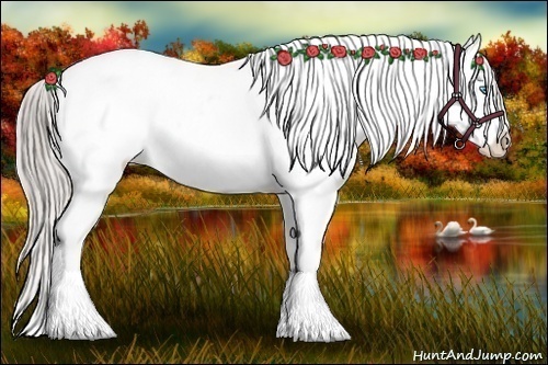 Horse Color:White Spotted Chocolate Palomino Roan Pearl Dun Frame Appaloosa Rabicano 