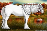 Horse Color:White Spotted Chocolate Palomino Roan Pearl Dun Frame Appaloosa Rabicano