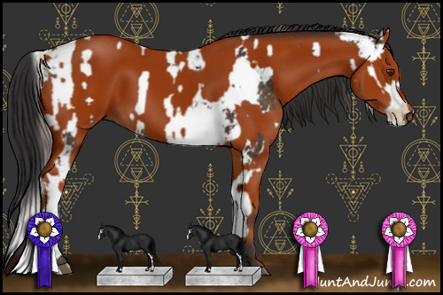 Horse Color:Liver Chestnut Sabino  and Bay 