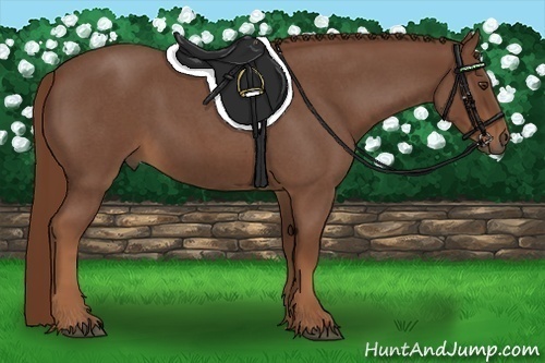 Horse Color:Red Roan 