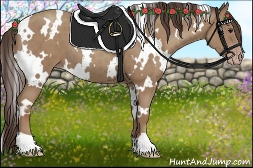 Horse Color:White Spotted Classic Champagne 