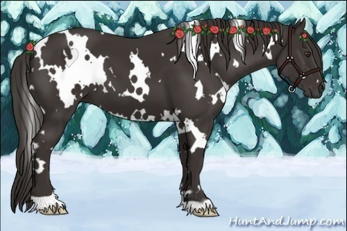 Horse Color:White Spotted Liver Chestnut 