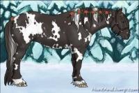 Horse Color:White Spotted Liver Chestnut 