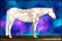 Horse Color:Silver Black Pearl Sabino