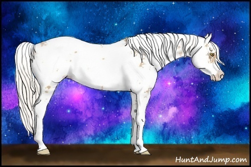 Horse Color:Silver Bay Pearl Sabino