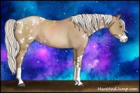 Horse Color:Silver Black Pearl Sabino