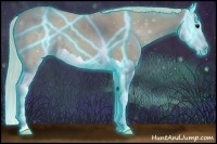 Horse Color:Thunderstruck Silver Smoky Grullo Splash 