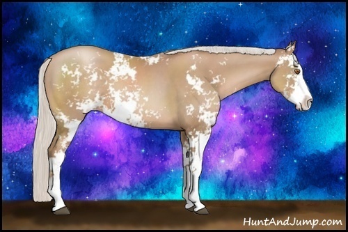 Horse Color:Silver Black Pearl Sabino