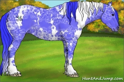 Horse Color:Watercolor White Spotted Black Ice 