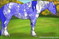 Horse Color:Watercolor White Spotted Black Ice