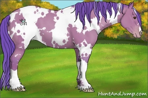Horse Color:Watercolor White Spotted Classic Champagne 