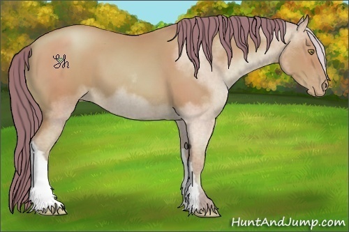 Horse Color:Watercolor Bay Pearl 