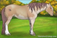 Horse Color:Watercolor Bay Pearl