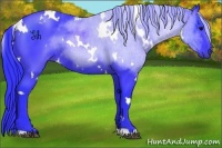 Horse Color:Watercolor White Spotted Black