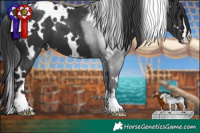 Horse Color:White Spotted Black