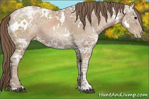 Horse Color:White Spotted Black Ice Pearl 