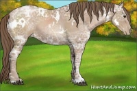 Horse Color:White Spotted Black Ice Pearl 