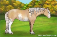 Horse Color:White Spotted Silver Amber Champagne