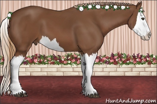 Horse Color:Chestnut Splash 