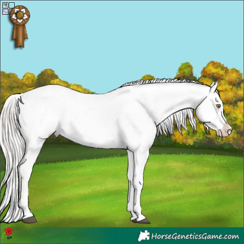 Horse Color:White Spotted Silver Brown Snowflake Varnish 