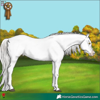Horse Color:White Spotted Silver Brown Snowflake Varnish 