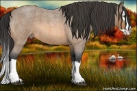 Horse Color:Buckskin Roan Splash 