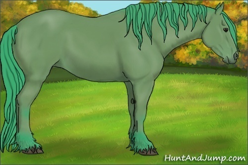 Horse Color:Watercolor Bay 