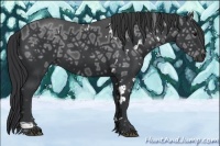 Horse Color:White Spotted Black Ice Rabicano
