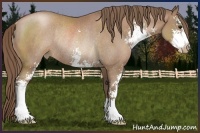 Horse Color:Black Pearl Sabino Rabicano 