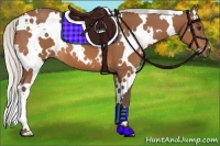 Horse Color:White Spotted Silver Bay 