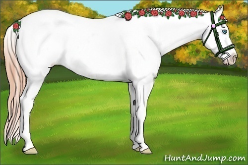 Horse Color:White Spotted Sable Cream Champagne Pearl Varnish 