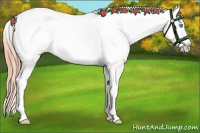 Horse Color:White Spotted Sable Cream Champagne Pearl Varnish 