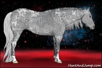 Horse Color:Silver Black Chinchilla Ice Rabicano 