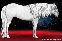 Horse Color:Silver Black Chinchilla Appaloosa Rabicano 