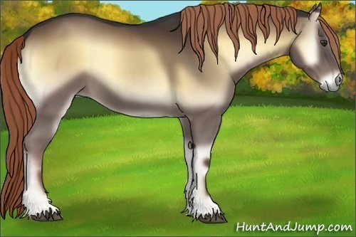 Horse Color:Liver Red Onyx 