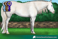 Horse Color:White Spotted Perlino Dun Splash 