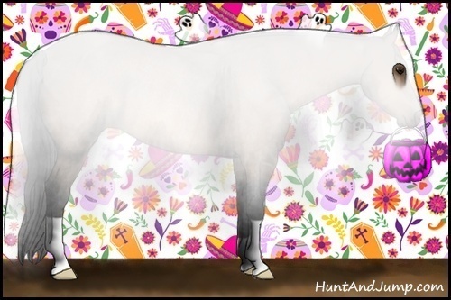 Horse Color:Buckskin Rabicano 