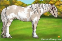 Horse Color:White Spotted Chocolate Palomino Pearl Frame