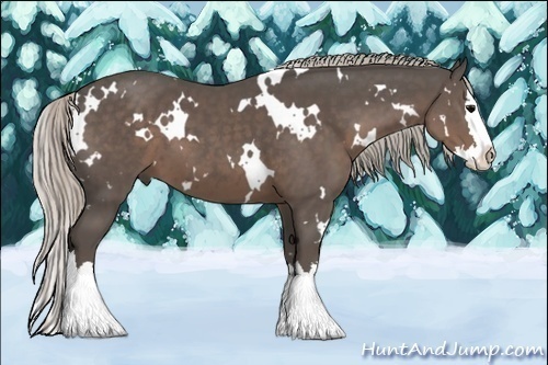 Horse Color:White Spotted Silver Black Sabino Splash 