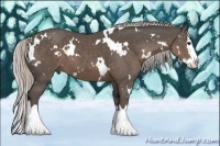 Horse Color:White Spotted Silver Black Sabino Splash