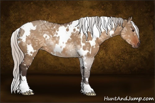 Horse Color:White Spotted Silver Bay Ice Dun