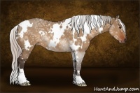 Horse Color:White Spotted Silver Bay Ice Dun 