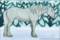 Horse Color:Watercolor Silver Classic Champagne Chinchilla Dun Rabicano