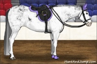 Horse Color:Black Sabino Splash 