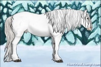 Horse Color:Silver Bay Near Leopard