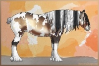 Horse Color:White Spotted Bay Onyx 