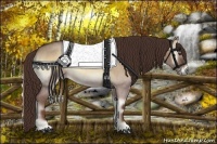 Horse Color:Red Dun Roan Onyx 